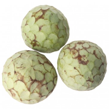 CHERIMOLIA (BIO) ESP. CHERIMOLIA (BIO) ESP.