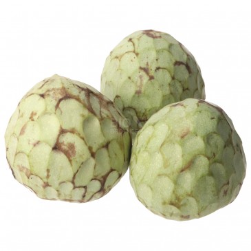 CHERIMOLIA (BIO) ESP. CHERIMOLIA (BIO) ESP.