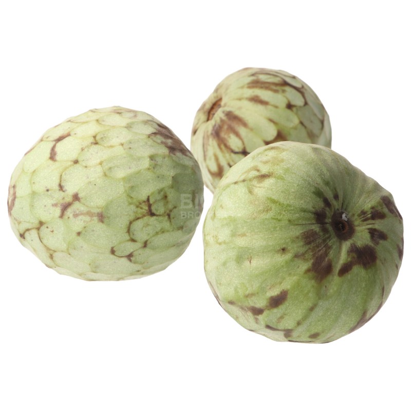 CHERIMOLIA (BIO) ESP.
