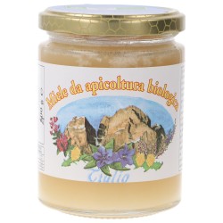 Miele di Tiglio Biologico vasetto piccolo