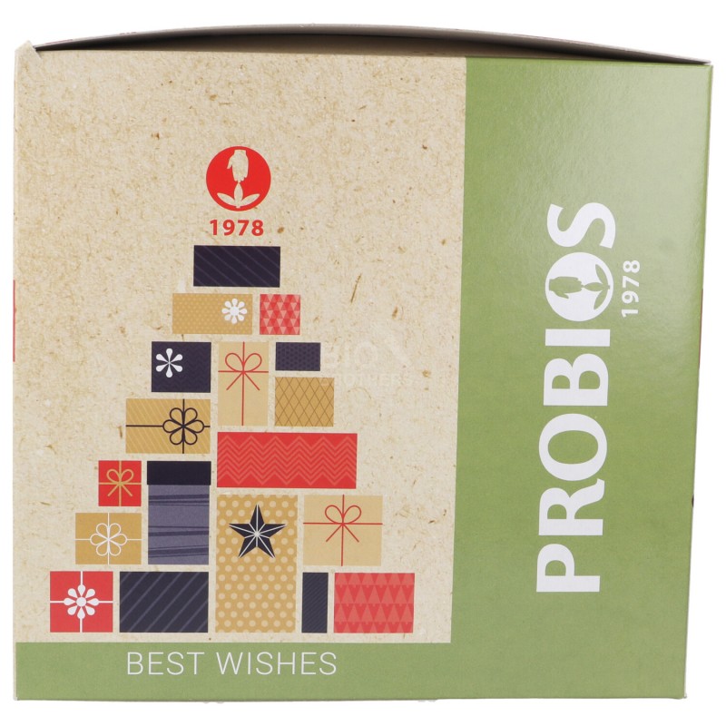 PANETTONE CIOCCOLATO&PISTACCHIO 750G