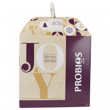 PANETTONE BIO SENZA GLUTINE 500G PROBIOS PANETTONE BIO SENZA GLUTINE 500G PROBIOS