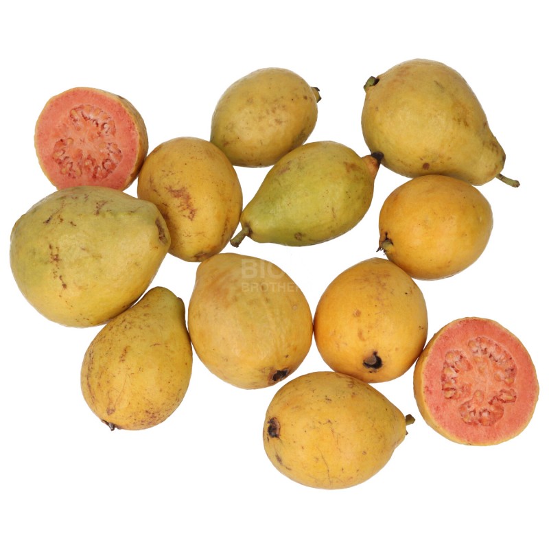 GUAVA FRUTTO (BIO) ESP.