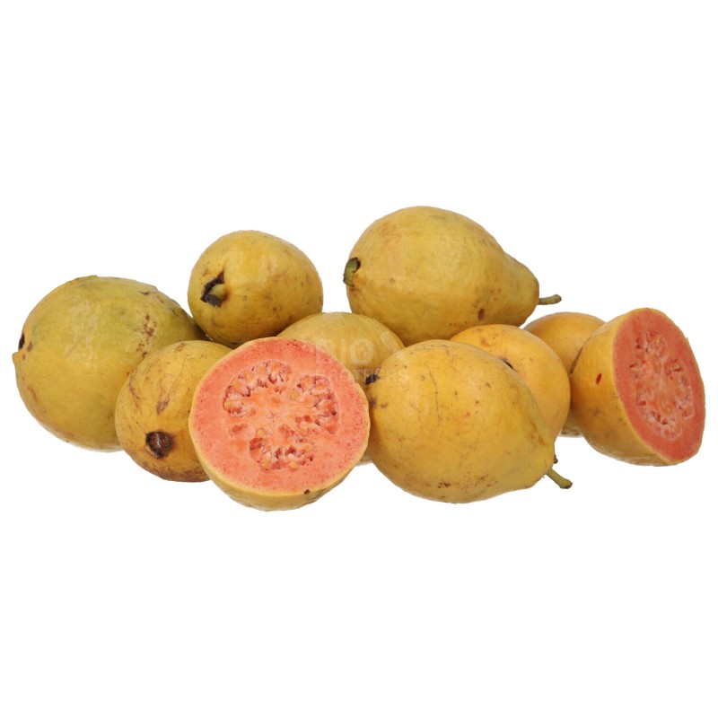 GUAVA FRUTTO (BIO) ESP.