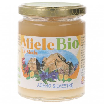 Miele di acero silvestre Miele di acero silvestre