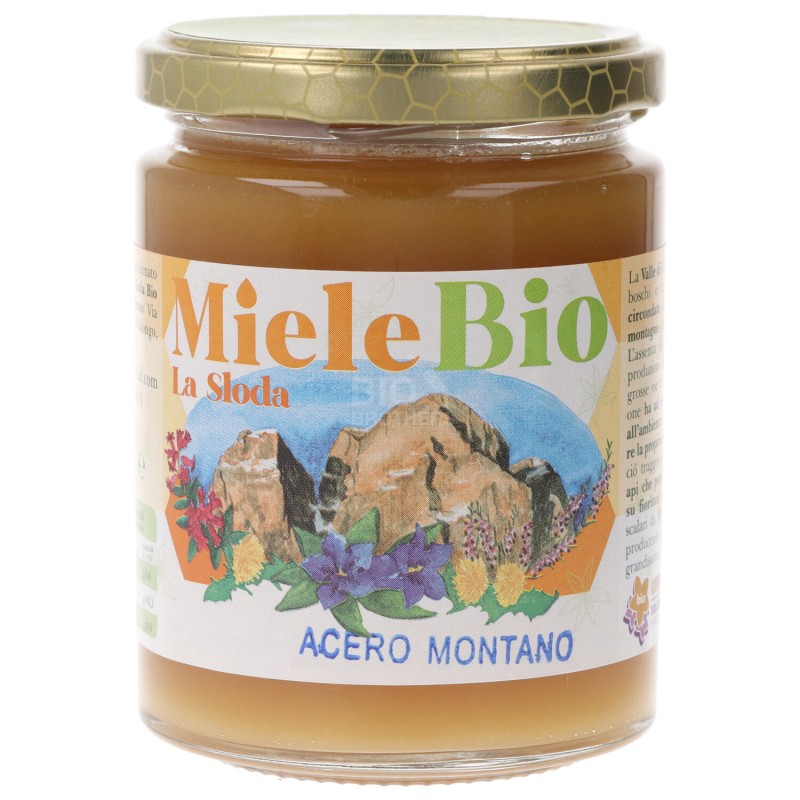 Miele Acero Montano biologico
