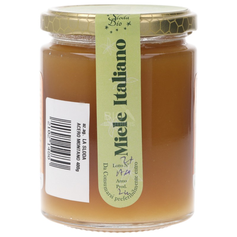 Miele Acero Montano biologico