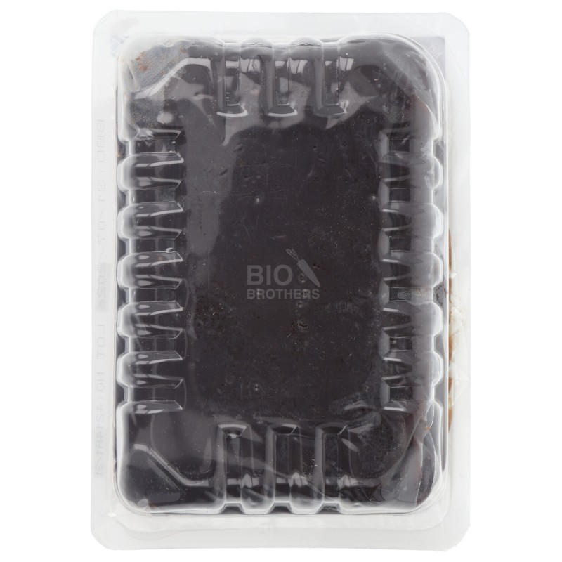 PASTA-POLPA DI DATTERI BIO 500G GOVINDA