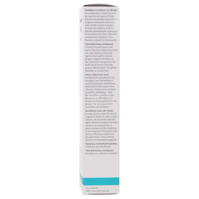 DENTIFRICIO FORTE ALLA MENTA 75ML DR HAUSCHKA