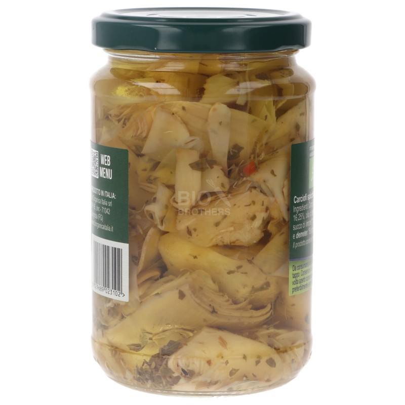 Carciofini in olio biologici