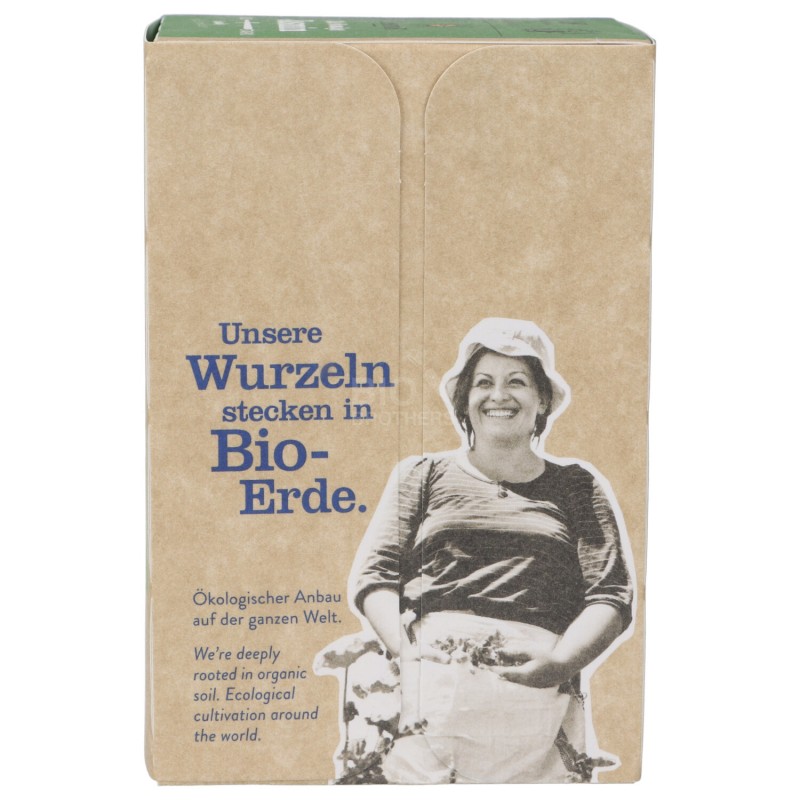 Te' Verde Gelsomino Biologico in filtri
