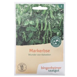 Piselli Nani varietà Kelvedon Sementi Bio per l'orto