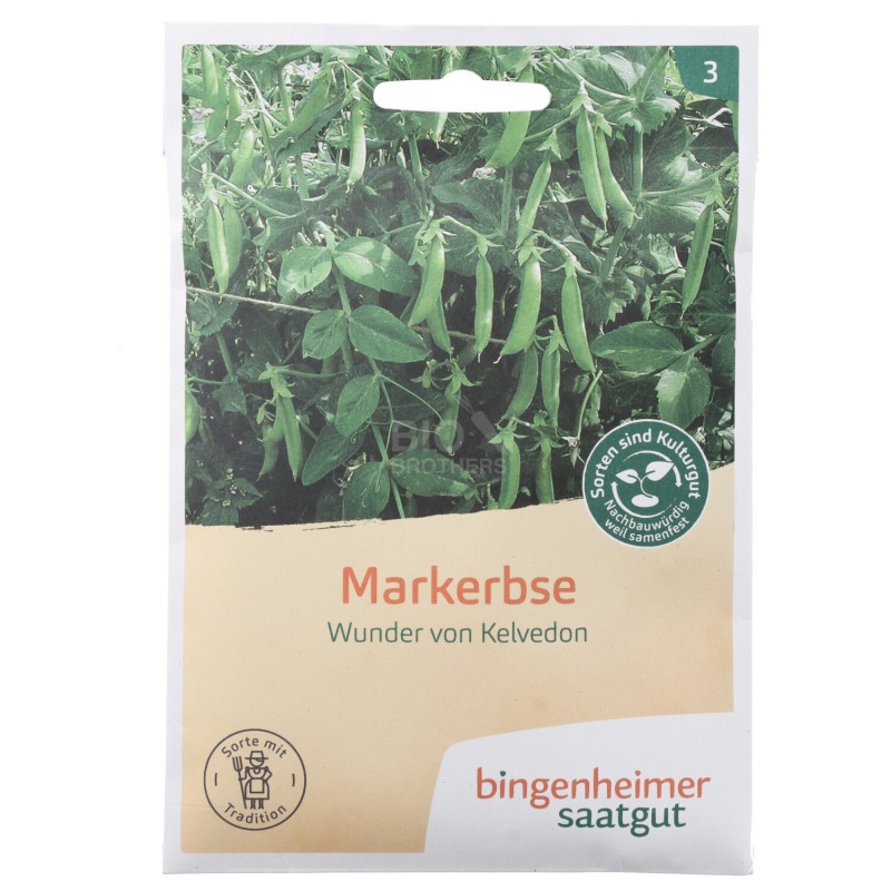 Piselli Nani varietà Kelvedon Sementi Bio per l'orto