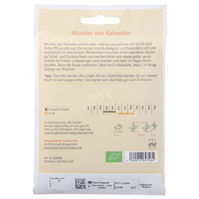 Piselli Nani varietà Kelvedon Sementi Bio per l'orto