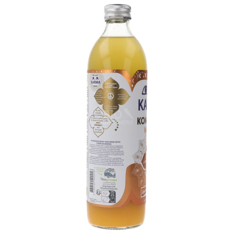 Kombucha Mango bevanda fermentata non pastorizzata Bio Demeter