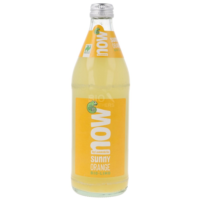 Sunny Orange Aranciata Biologica in vetro