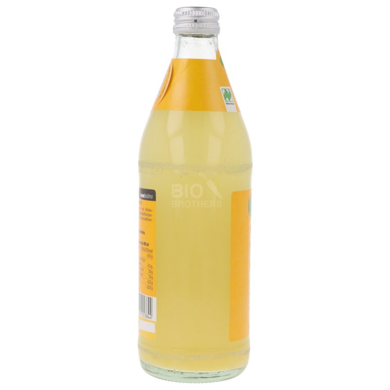 Sunny Orange Aranciata Biologica in vetro