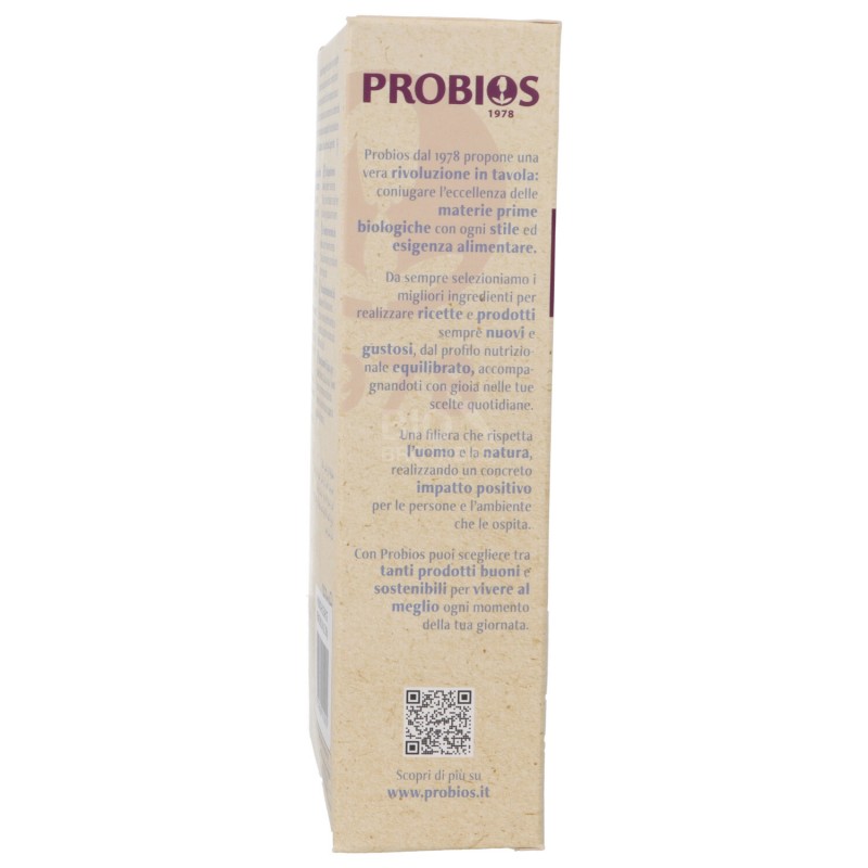 PENNE RISO INTEG. 250GR RICE&RICE