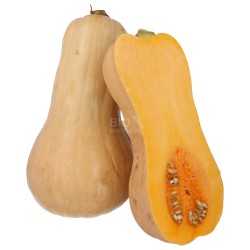ZUCCHE BUTTERNUT (BIO) ARGENTINA
