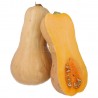 ZUCCHE BUTTERNUT (BIO) ARGENTINA