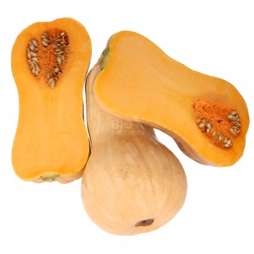 ZUCCHE BUTTERNUT (BIO) ARGENTINA