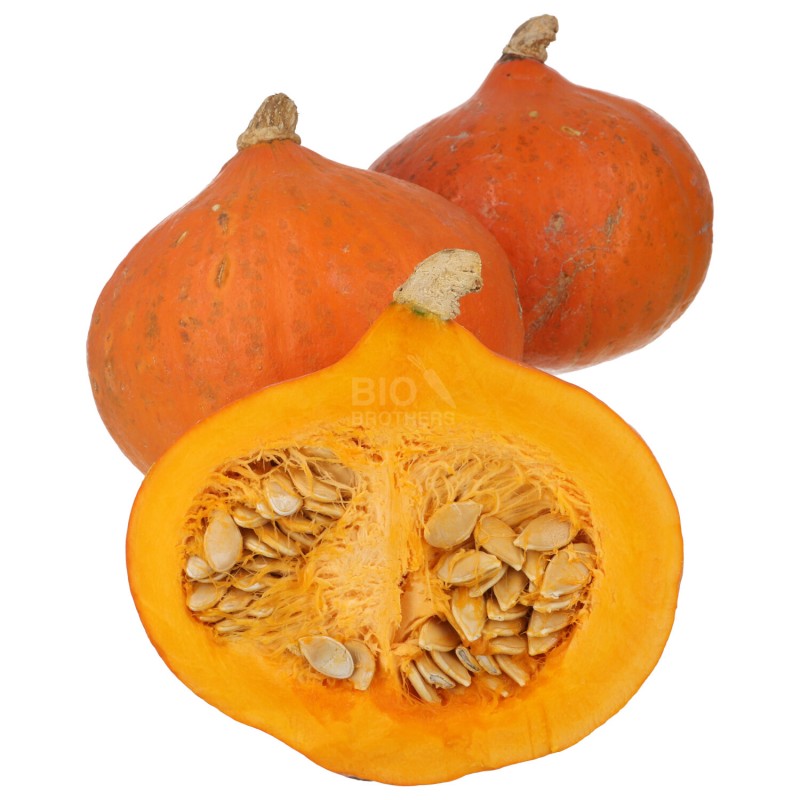 ZUCCHE HOKKAIDO ROSSE (BIO)