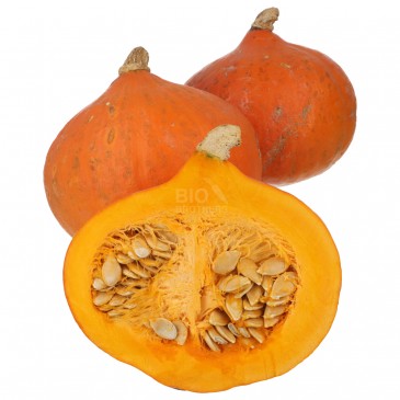 ZUCCHE HOKKAIDO ROSSE (BIO)