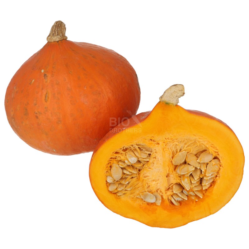 ZUCCHE HOKKAIDO ROSSE (BIO)