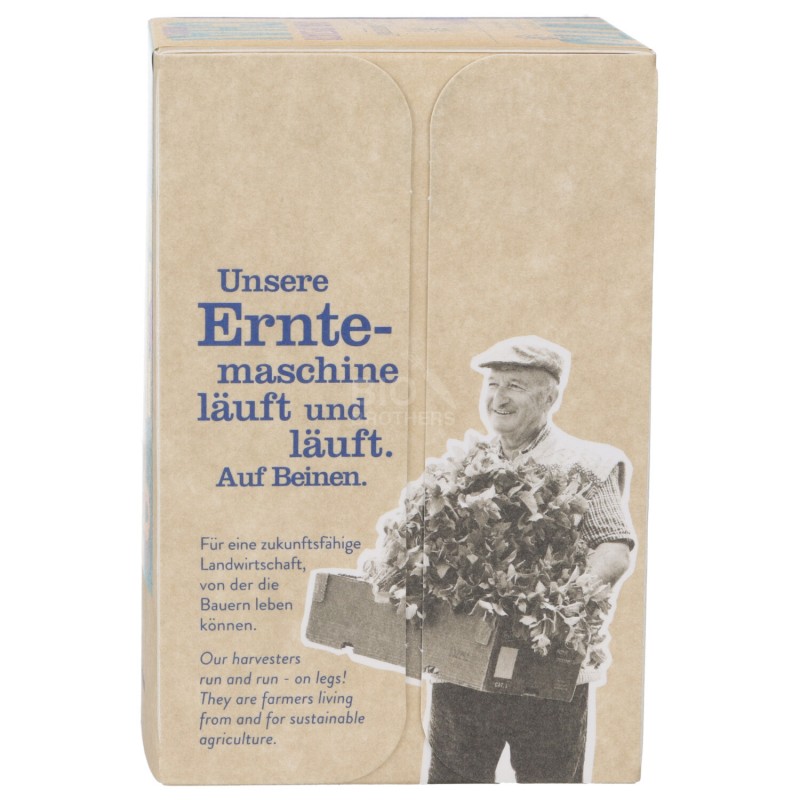 INFUSO CHAI SPEZITO IN FILTR.BIO 32.4G SNN