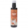 Sciroppo Pumpkin Spice Biologico liquido Sciroppo Pumpkin Spice Biologico liquido
