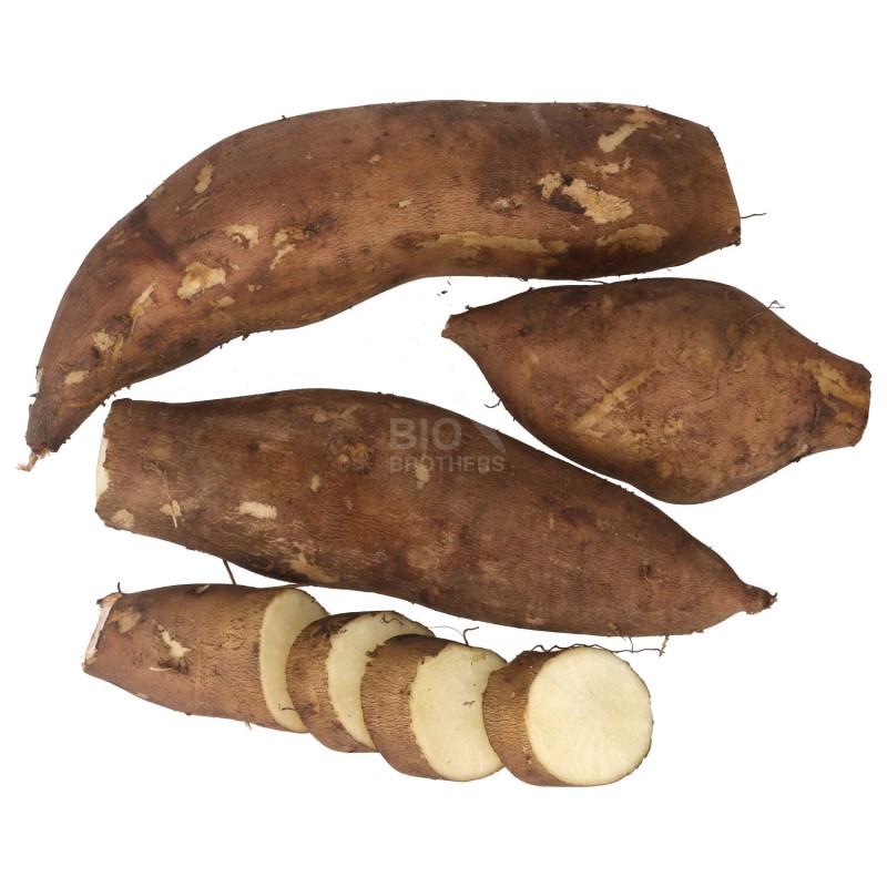 YACON FRESCO RADICE (DEMETER) DE 