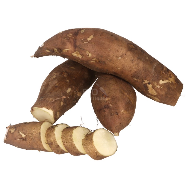 YACON FRESCO RADICE (DEMETER) DE 