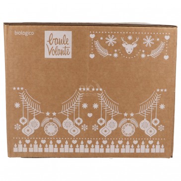 PANETTONE PISTACCHIO CIOCCOLATO BIO 750G BV