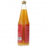 SUCCO DI CLEMENTINE BIO 700ML BEUTELSB.