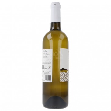 Verdiso Veneto IGT Vino Bianco Frizzante Biologico