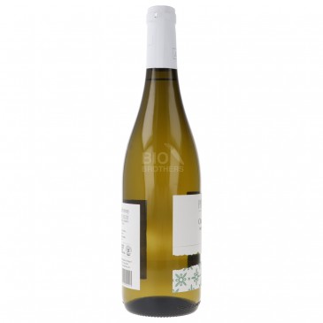 Chardonnay Trevenezie I.G.T. vino bianco Biologico