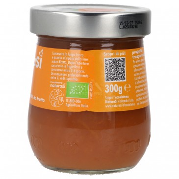 COMPOSTA ALBICOCCA BIO 300G NSI