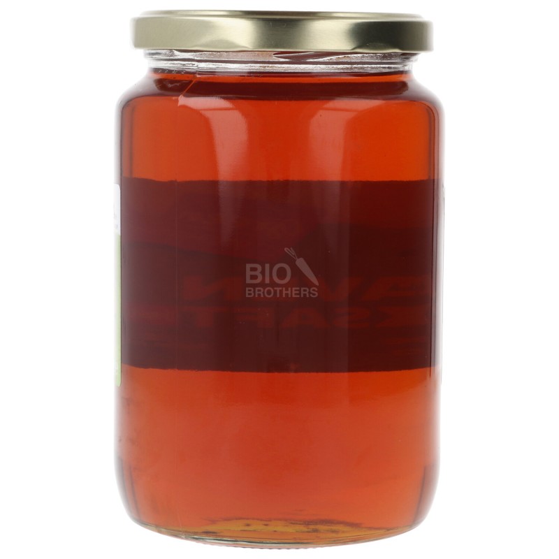 SCIROPPO AGAVE SCURO BIO VASO XXL 1KG GREEN.