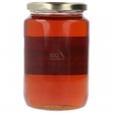 SCIROPPO AGAVE SCURO BIO VASO XXL 1KG GREEN.