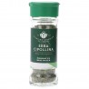 ERBA CIPOLLINA 12GR BERICI