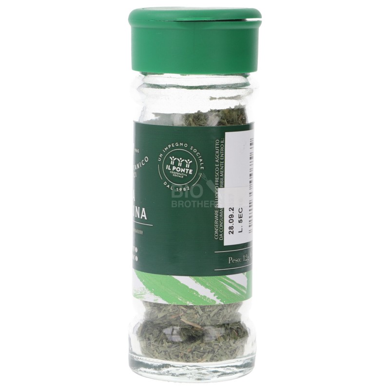 ERBA CIPOLLINA 12GR BERICI