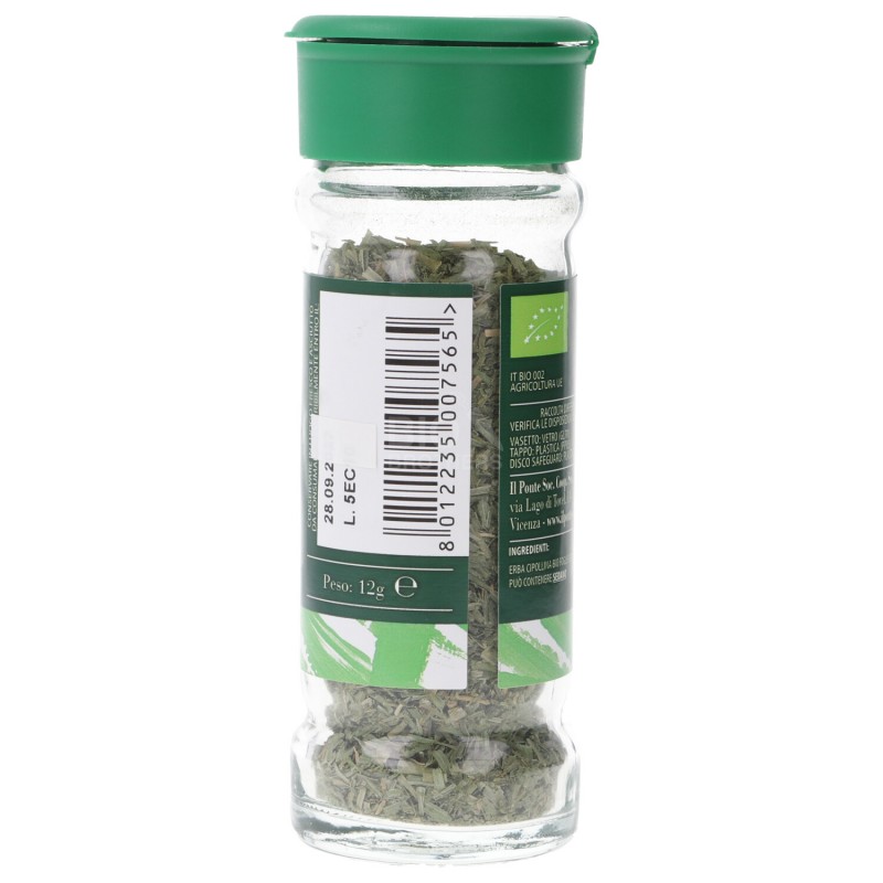 ERBA CIPOLLINA 12GR BERICI