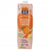 Arancia carota limone da bere Bio