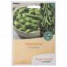 SOIA EDAMAME CHIBA SEMENTI BIO 50 SEMI BUSTINA