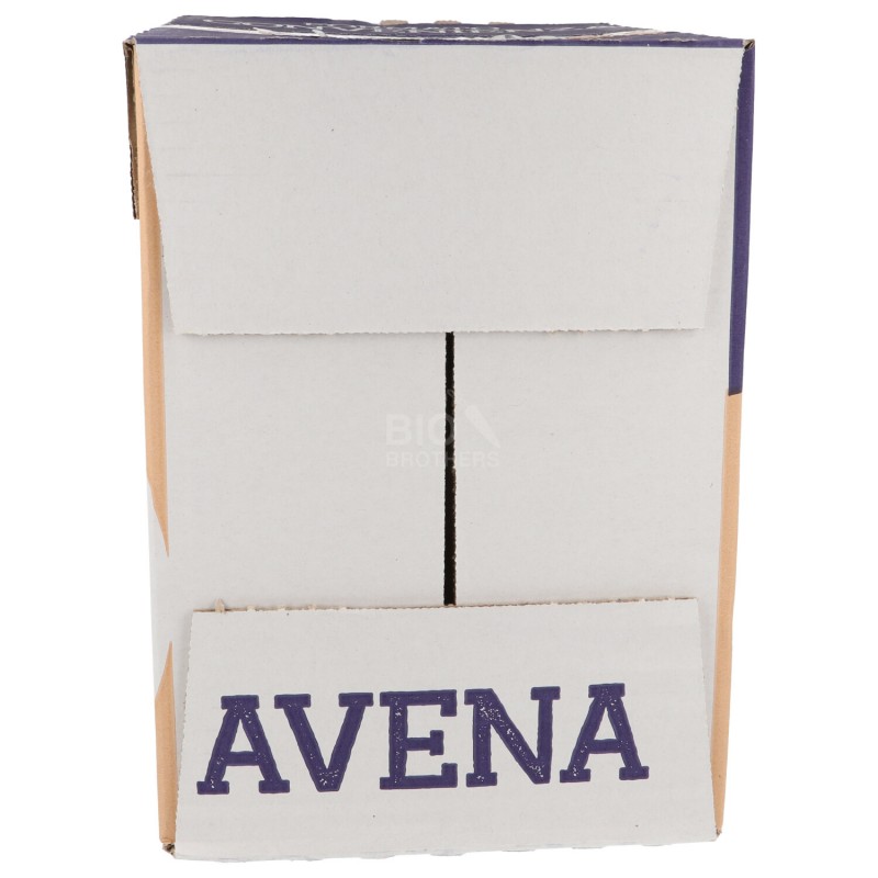 Bauletto convenienza drink avena bio original