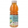 THE BIANCO & LIME BIO BOTTIGLIETTA 500ML PROBIOS