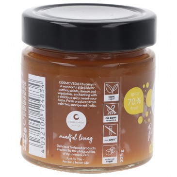 CHUTNEY SPEZIATO MANGO BIO 225G COSMOVEDA