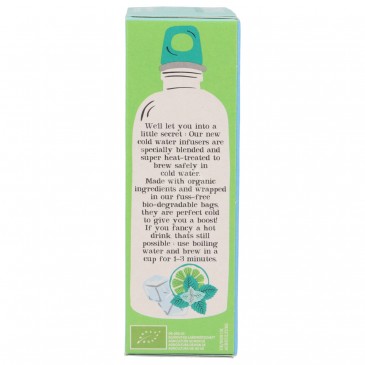 INFUSO FREDDO MENTA LIMONE 10FILTRI BIO