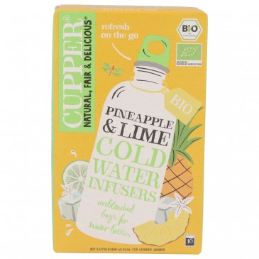 INFUSO FREDDO ANANAS LIME BIO 10FILTRI
