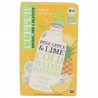 INFUSO FREDDO ANANAS LIME BIO 10FILTRI